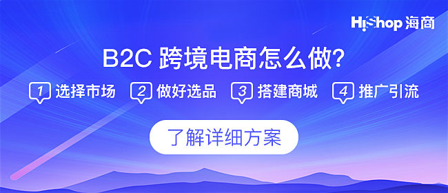 跨境电商独立站